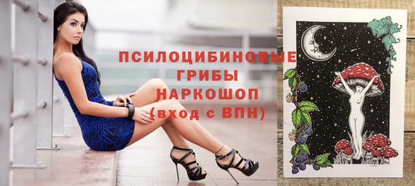 индика Балабаново