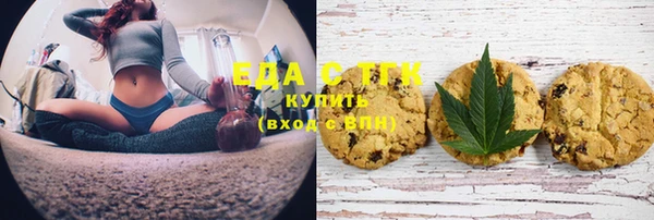 индика Балабаново