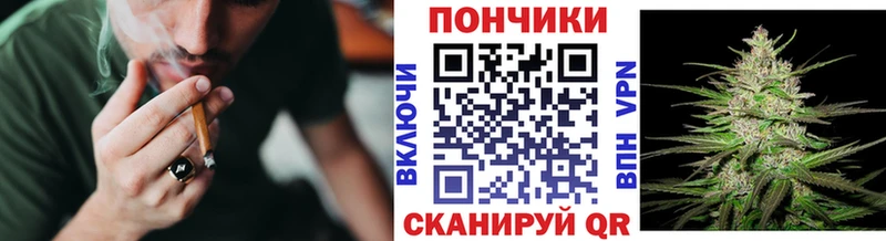 Бошки Шишки планчик  Нестеровская 